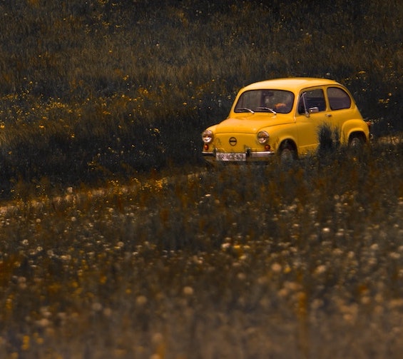 Hire car finding route through field