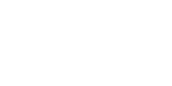 Turtl Logo